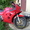 мотоцикл suzuki - Изображение #2, Объявление #320178