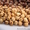 семечки, орешки, фисташки, сухарики "Пиастры" - Изображение #1, Объявление #431267