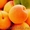 Саженцы   весна - 2017 плодовых ,декоративных , хвойных зкс !!! - Изображение #10, Объявление #453999