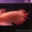 Великолепный Идеальный аквариум Chili красный arowana для продажи #495060