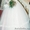 Продам 2 свадебных платья #614524