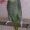 Шикарный крупный попугай #651744