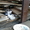 Три котенка ищут хозяев - Изображение #2, Объявление #963171