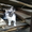 Три котенка ищут хозяев - Изображение #3, Объявление #963171