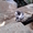 Три котенка ищут хозяев - Изображение #5, Объявление #963171