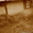 дача с/о Спецстроевец  20км от оренбурга - Изображение #3, Объявление #1253358