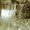 дача с/о Спецстроевец  20км от оренбурга - Изображение #2, Объявление #1253358