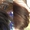 полировка волос кератин Estel - Изображение #2, Объявление #1384346