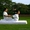 Тайский Йога массаж,Висцеральная терапия,УДМ - Изображение #3, Объявление #1628496