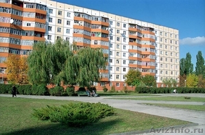 Квартиры на сутки, дни в Оренбурге - Изображение #1, Объявление #247170
