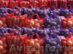 Сетка мешок для фасовки овощей и фруктов орт компании ООО "Эталон-СП" - Изображение #10, Объявление #266169