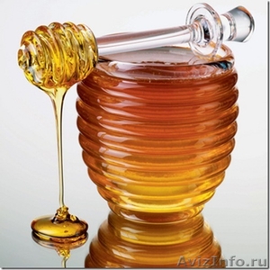 Мед натуральный цветочный. 300 р/кг - Изображение #1, Объявление #318925