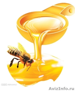 Мед с личной пасеки г. Бузулука - Изображение #1, Объявление #537772