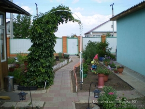 продаю дом в п.Павловка( газпром) - Изображение #4, Объявление #526473