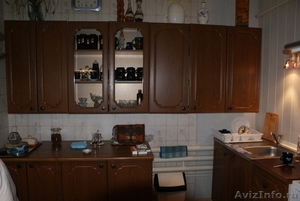 Дом в Оренбургской области на участке 86 соток - Изображение #8, Объявление #649380