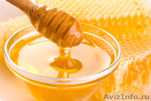 Мед с собственной пасеки Продам Опт и Розница - Изображение #1, Объявление #675405