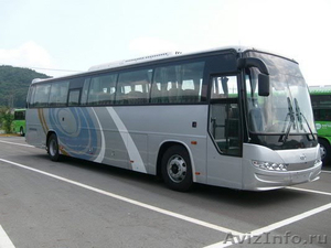 Продаём автобусы Дэу Daewoo  Хундай  Hyundai  Киа  Kia в наличии Омске. Оренбург - Изображение #2, Объявление #848543